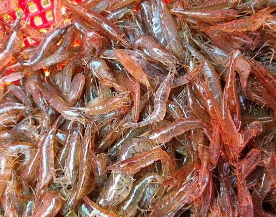 새뱅이탕 3인 메뉴 사진(네이버)