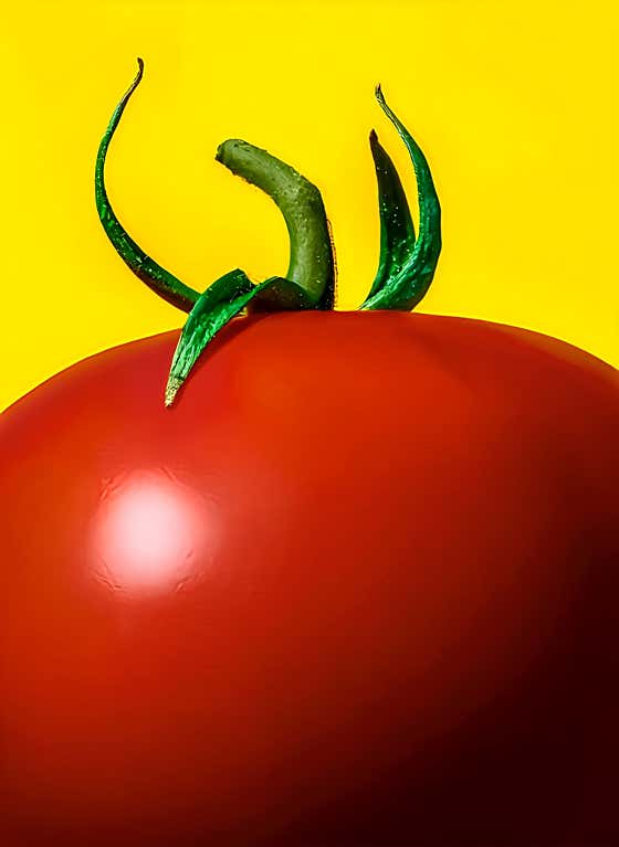 토마탕 메뉴 사진(네이버)