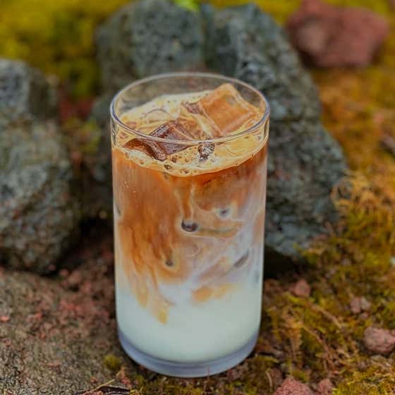 부드러운 카페라떼 ICE 메뉴 사진(네이버)