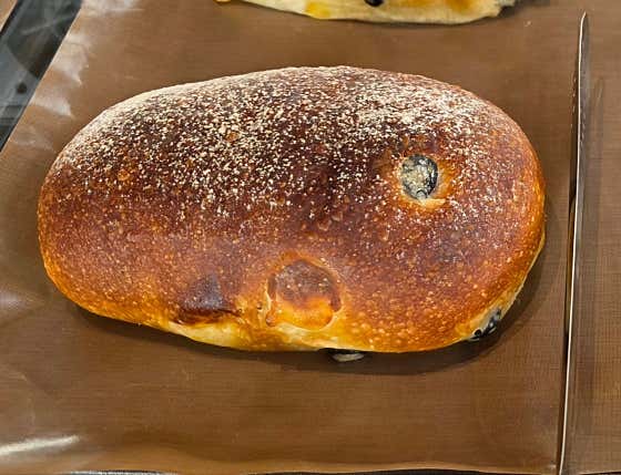 올리브 롤치즈 치아바타 메뉴 사진(네이버)