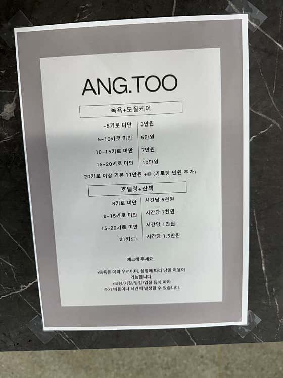 애견목욕+모질케어 메뉴 사진(네이버)