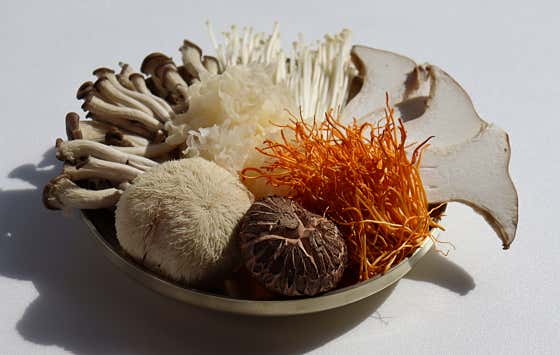 유기농 동충하초 장수버섯 모둠 메뉴 사진(네이버)