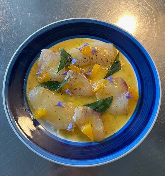 세비체(Dinner) 메뉴 사진(네이버)