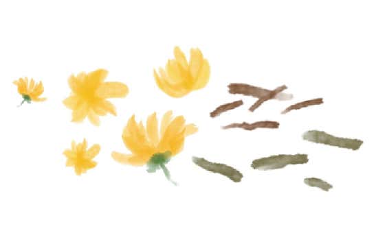 노을빛 국화 메뉴 사진(네이버)