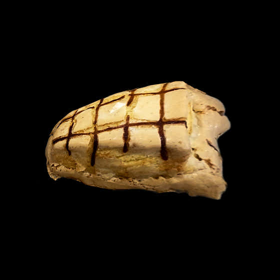 누네띠네스콘 메뉴 사진(네이버)