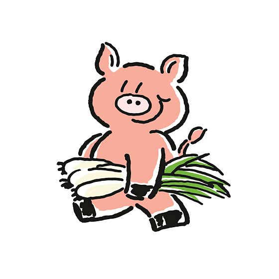 맥주 메뉴 사진(네이버)