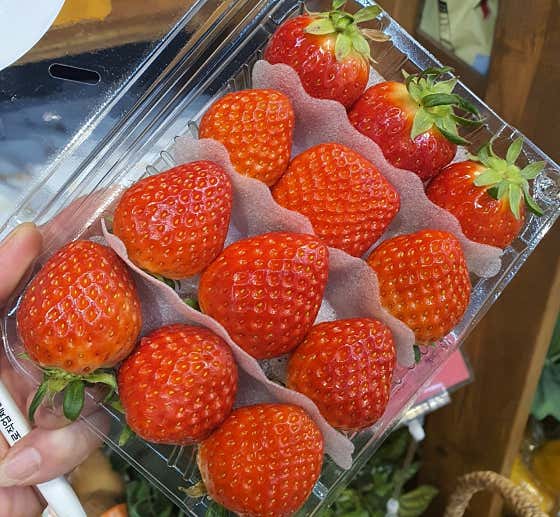 딸기 메뉴 사진(네이버)