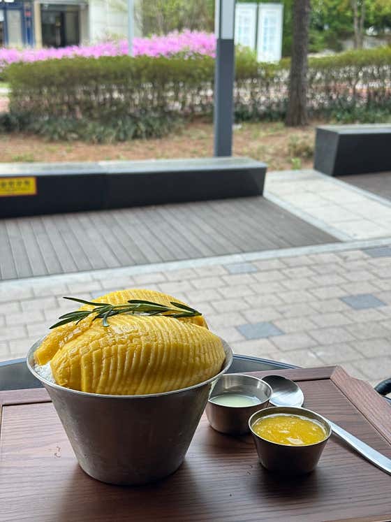 제주애플망고 빙수 메뉴 사진(네이버)