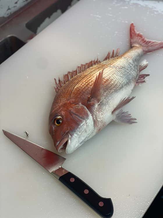 참돔 1Kg 기준 메뉴 사진(네이버)
