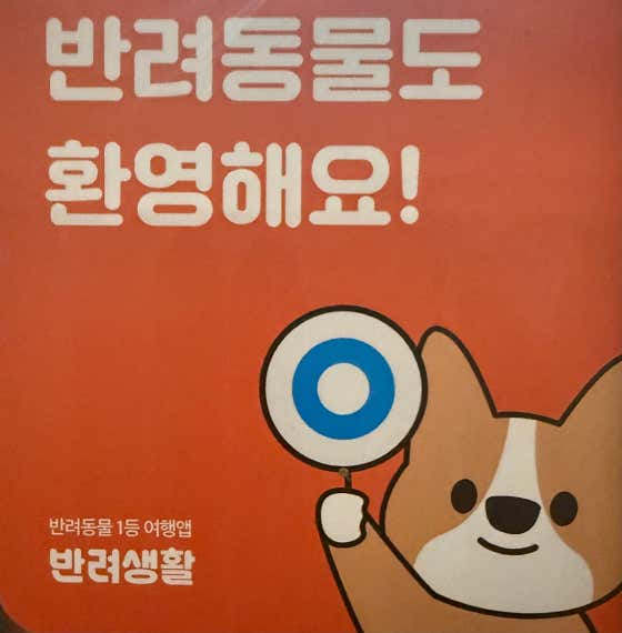 반려견.묘 입장료 아이당 메뉴 사진(네이버)