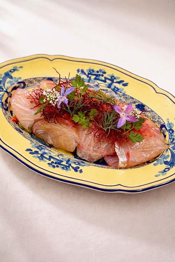 제철생선 세비체 메뉴 사진(네이버)