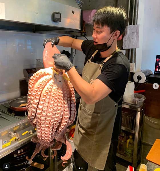 제주산 돌문어숙회 메뉴 사진(네이버)