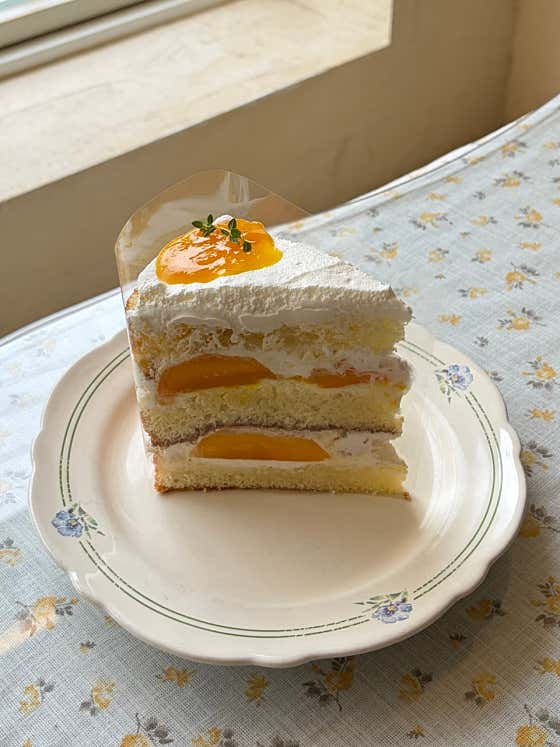 망고 케이크 메뉴 사진(네이버)