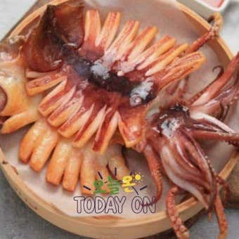 반건조오징어 메뉴 사진(네이버)