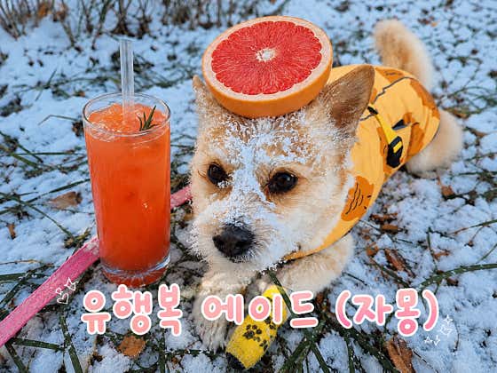 유행복 에이드You happy ade 메뉴 사진(네이버)