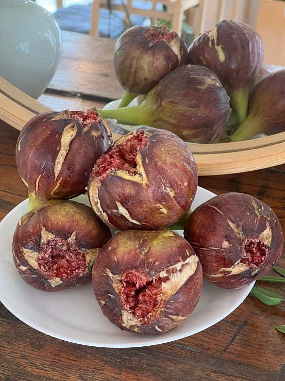 무화과 크림치즈 젤라또 메뉴 사진(네이버)