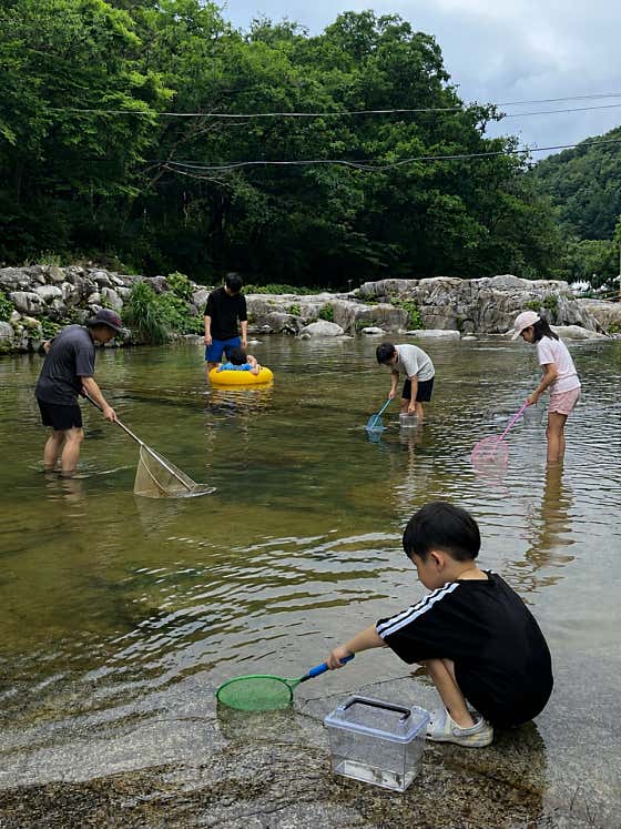 계곡 생태계 체험 도구 무료 대여 메뉴 사진(네이버)