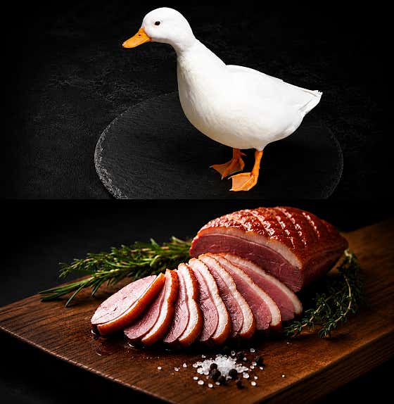 숯불훈제오리(1마리) 메뉴 사진(네이버)