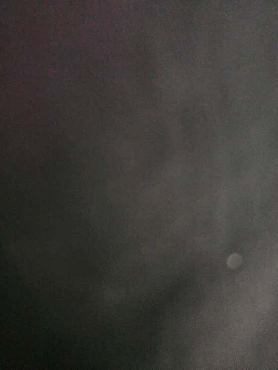 글렌피딕 15 샷잔 메뉴 사진(네이버)