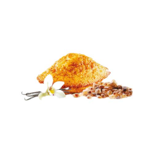 바닐라 마들렌 메뉴 사진(네이버)