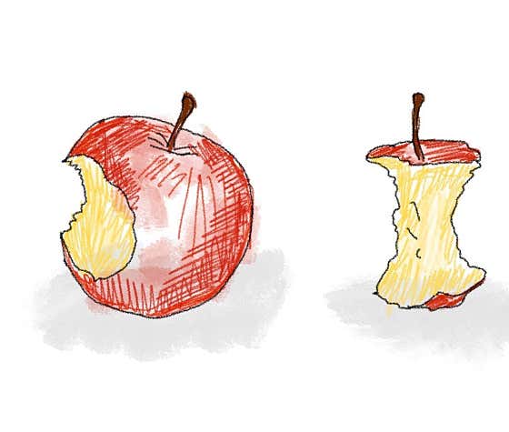 사과 그리고 또 사과 메뉴 사진(네이버)