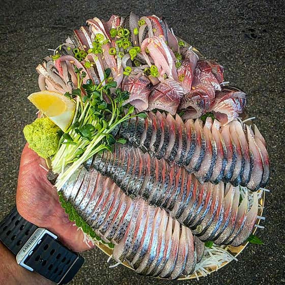 전어회 메뉴 사진(네이버)
