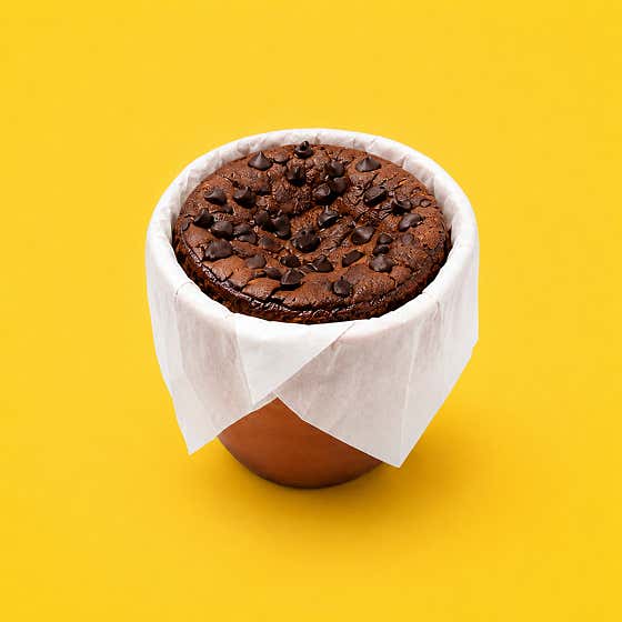반숙 카스테라 (시그니처) 초코 메뉴 사진(네이버)