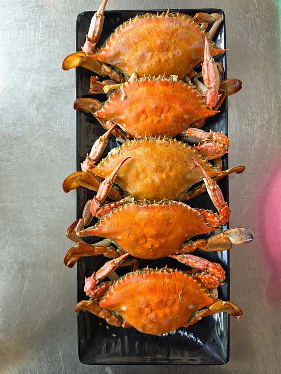 (계절메뉴) 꽃게찜 메뉴 사진(네이버)