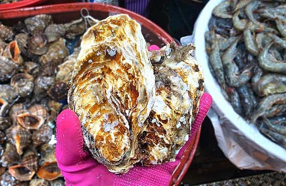 삼배체굴 메뉴 사진(네이버)