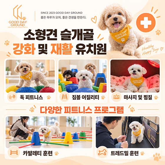 굿데이그라운드 사진