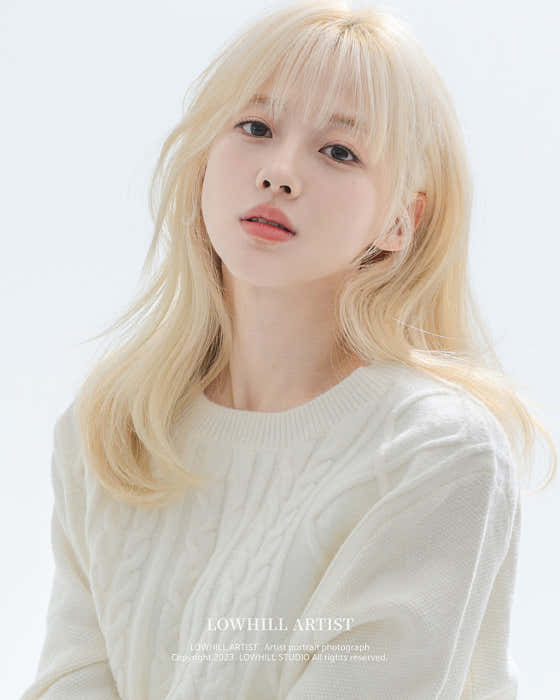 로우힐스튜디오