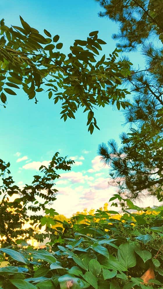 힐링아로마 (서귀포) 매장 사진 7