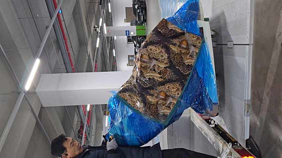 서초구 용달이사 원룸이사 소형이사 착한이사 추천 5곳 비용 안내 추천하는곳 후기 비용 아빠가 하는 용달 이사 사진