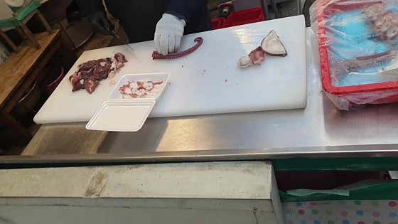 양포 문어 대표 메뉴