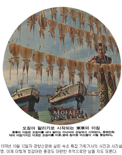 속초 오징어 난전, 불친절 행동에 대응 - 대응 조치 발표 및 결의대회 개최, 사과와 경고 조치 발표하여 사회적 관심 집중