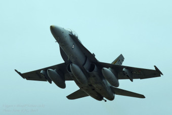뉴질랜드 국제 에어쇼 Warbirds Over Wanaka에 참가한 호주공군 F/A-18 전투기