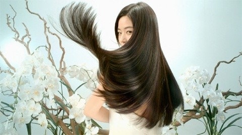 굳헤어 이미지