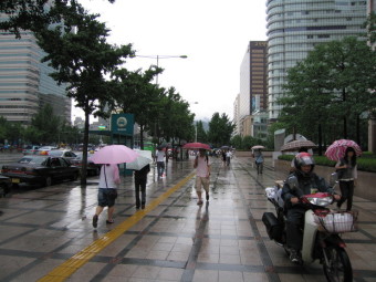 비오는 날 거리의 풍경 6 - 서울