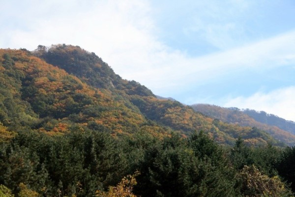[한국의 100대 명산] 치악산(稚岳山) | 블로그