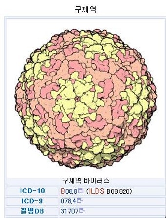 [구제역]-모르면 두렵고 알면 안타까운.