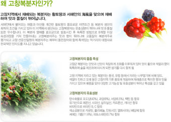 지리적표시제 등록한 고창 복분자