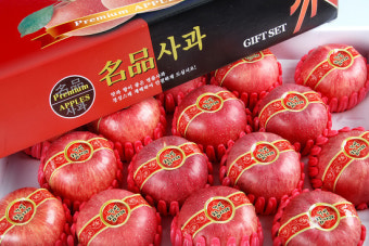 ［사과선물세트］명절선물, 소중한분들께 드리기 좋은 명품사과 거성참사과선물세트