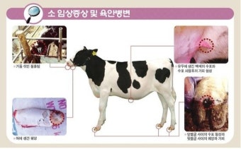 구제역
