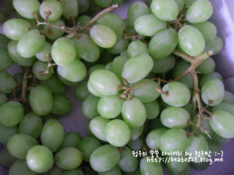 엄마는 바보~! 23개월 말문이 트이는 정우^^ / 칠레포도, 톰슨씨들리스