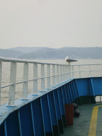 장봉도 섬 트레킹(2011.4.1~4.2)