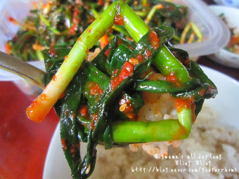 [파김치]파김치만들기 (파김치/파김치만들기/파김치양념/파김치만드는방법/파김치레시피/전라도식김치/김치만들기/김치양념/파김치만드는법...
