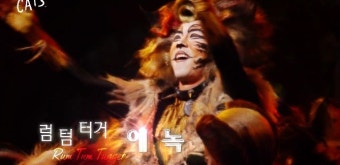 뮤지컬 캐츠