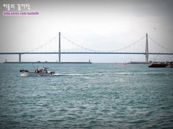 남도섬여행/전라도여행 - 고흥 소록도 거금도 여행 1