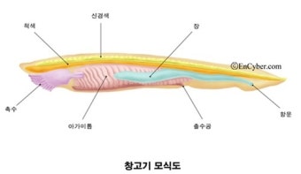 물고기상점 이미지