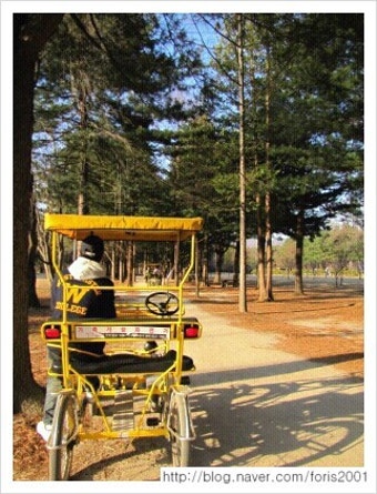 겨울연가 촬영지 남이섬 여행